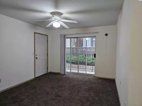1645 NE Merman Dr #A204, Pullman, WA 99163 photo 14