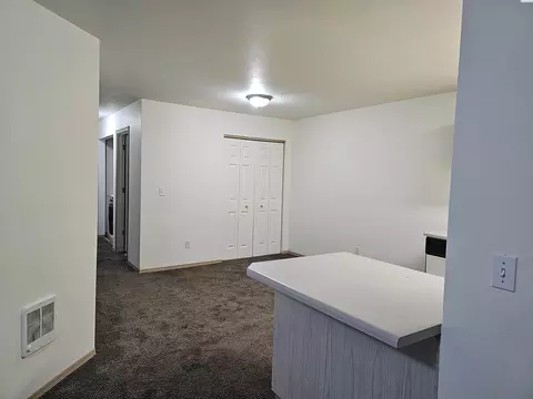 1645 NE Merman Dr #A204, Pullman, WA 99163 photo 10