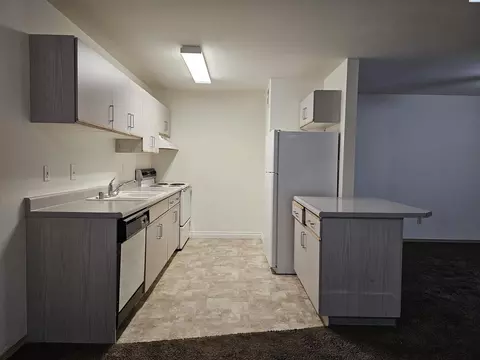 1645 NE Merman Dr #A204, Pullman, WA 99163 photo 12
