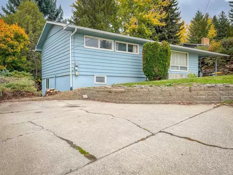 1420 NE Upper Dr, Pullman, WA 99163 photo 29