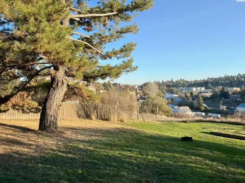 501 NW Irving St, Pullman, WA 99163 photo 18
