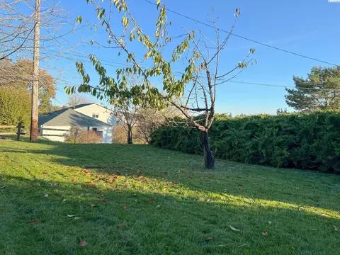 501 NW Irving St, Pullman, WA 99163 photo 26