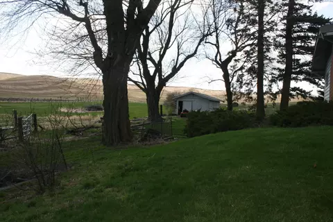 920 NE D, Pullman, WA 99163 photo 4