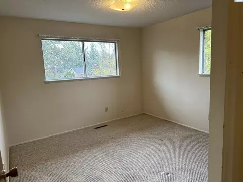 315 NW North St, Pullman, WA 99163 photo 18