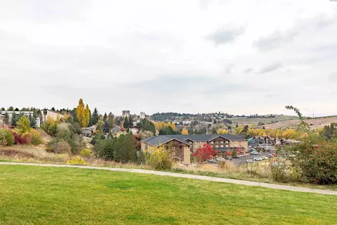 1504 SE Footloose, Pullman, WA 99163 photo 30