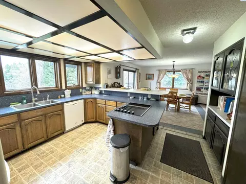 551 Old Moscow, Pullman, WA 99163 photo 19