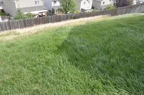 Exterior - 1100 SW Latour Peak St, Pullman, WA 99163 photo 7 of 7