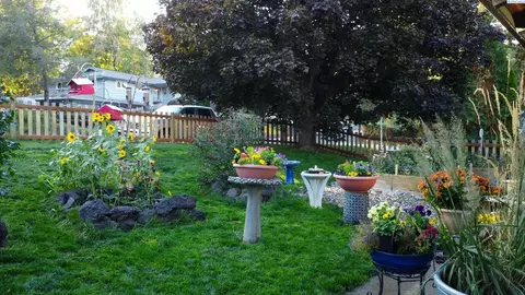1150 SW Marcel St, Pullman, WA 99163 photo 2