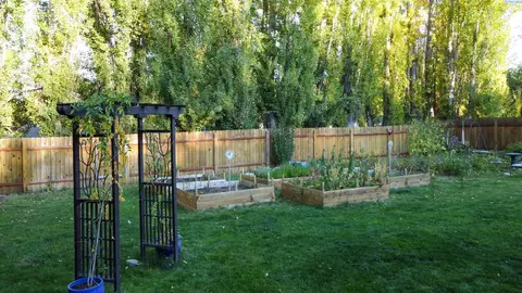 1150 SW Marcel St, Pullman, WA 99163 photo 21