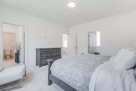 1115 NW Marshland, Pullman, WA 99163 photo 23