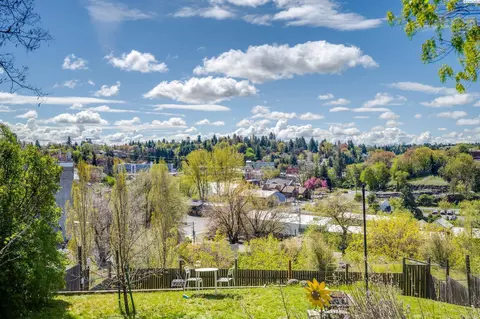 375 NW Irving St, Pullman, WA 99163 photo 28