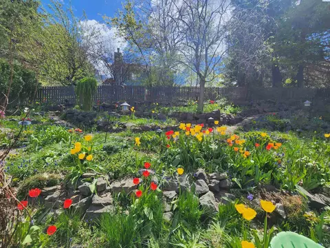 705 SW Mies St, Pullman, WA 99163 photo 29