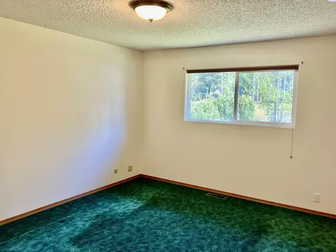 1120 SW Alvar, Pullman, WA 99163 photo 16
