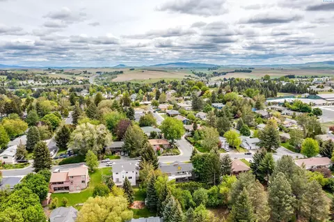 1025 SE Kamiaken, Pullman, WA 99163 photo 40