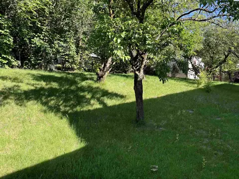 720 NW Clifford St, Pullman, WA 99163 photo 17