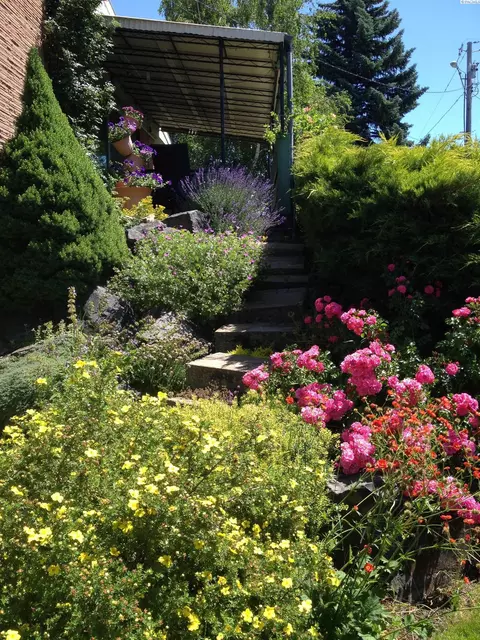 225 SW Skyline Dr, Pullman, WA 99163 photo 40