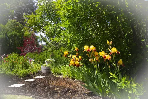 225 SW Skyline Dr, Pullman, WA 99163 photo 31