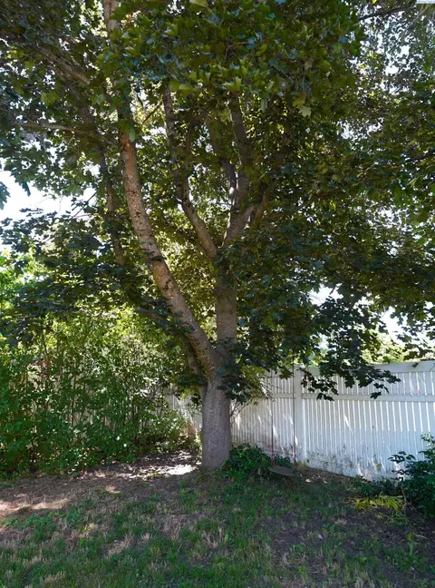 405 SE Water St, Pullman, WA 99163 photo 43