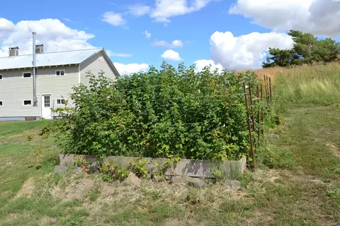 3301 Carothers Rd, Pullman, WA 99163 photo 30