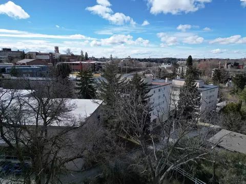 1005 NE Duncan, Pullman, WA 99163 photo 4
