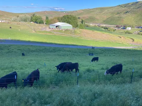 lot10 Cactus Ln, Lewiston, ID 83501