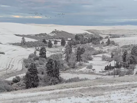1925 NW Ventura, Pullman, WA 99163 photo 22