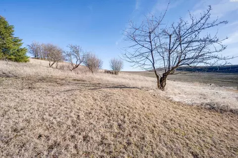 2854 Banner Rd, Pullman, WA 99163 photo 30
