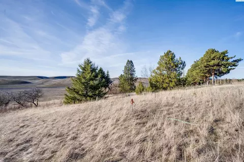 2854 Banner Rd, Pullman, WA 99163 photo 7