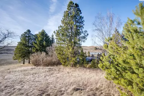2854 Banner Rd, Pullman, WA 99163 photo 31