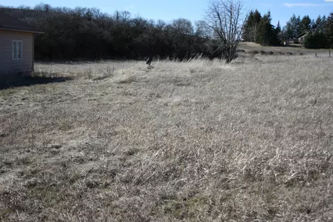 341 Reid Rd, Pullman, WA 99163 photo 5