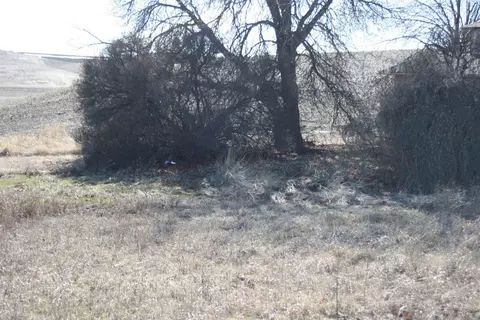 341 Reid Rd, Pullman, WA 99163 photo 7