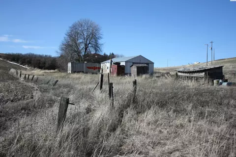 341 Reid Rd, Pullman, WA 99163 photo 9
