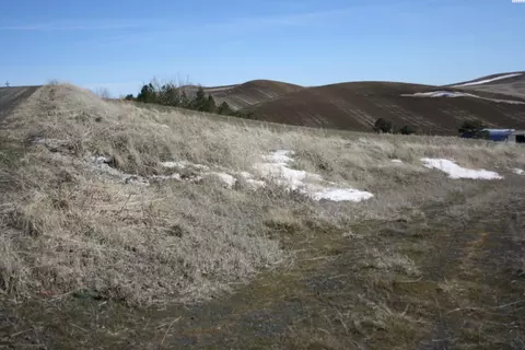 341 Reid Rd, Pullman, WA 99163 photo 3