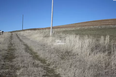 341 Reid Rd, Pullman, WA 99163 photo 4