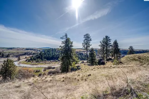 6 Red Tail Rdg # E, Colfax, WA 99111 photo 16