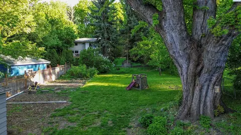 535 SE Water St, Pullman, WA 99163 photo 38
