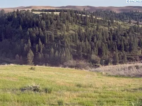 lot5 Red Tail Rdg, Colfax, WA 99111