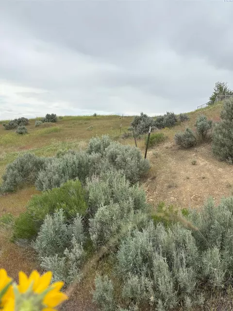 4730 Ringold Rd, Eltopia, WA 99330 photo 5