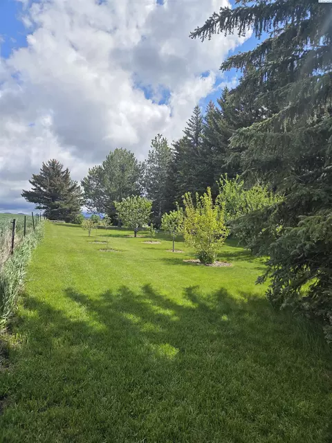 6302 Sand Rd, Pullman, WA 99163 photo 45