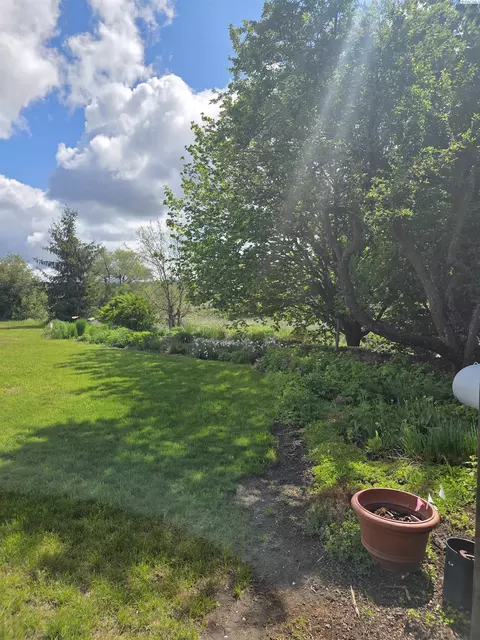 6302 Sand Rd, Pullman, WA 99163 photo 20