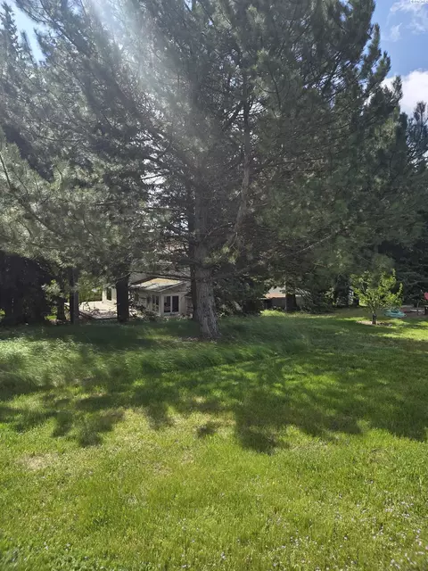 6302 Sand Rd, Pullman, WA 99163 photo 48