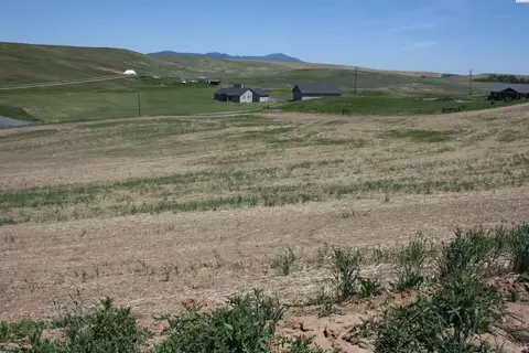 1491 Orville Boyd Rd, Pullman, WA 99163 photo 2