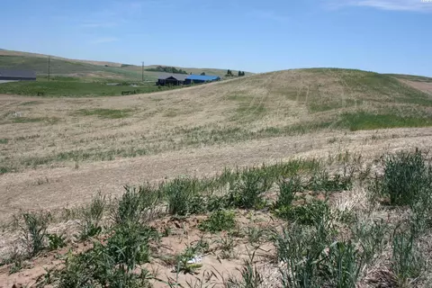 1491 Orville Boyd Rd, Pullman, WA 99163 photo 3