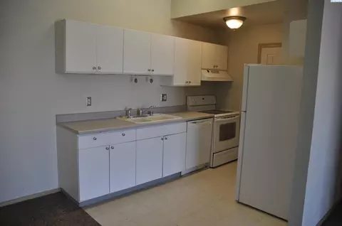 1645 NE Merman Dr #C-302, Pullman, WA 99163 photo 4
