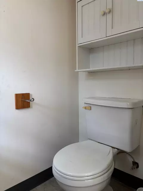 Bath - 430 SE Kamiaken St, Pullman, WA 99163 photo 5 of 7