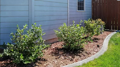 4318 Desert Pl, Pasco, WA 99301 photo 43