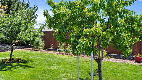 4318 Desert Pl, Pasco, WA 99301 photo 37