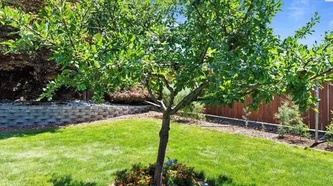 4318 Desert Pl, Pasco, WA 99301 photo 39
