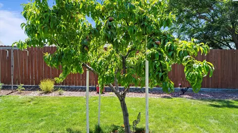 4318 Desert Pl, Pasco, WA 99301 photo 38