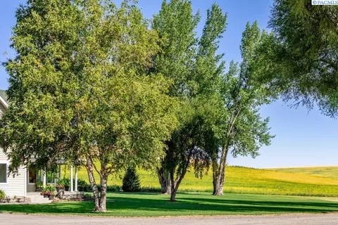 401 Jennings Rd, Pullman, WA 99163 photo 38
